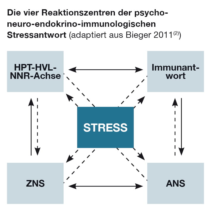 MikronährstoffCoach®: Indikationen /